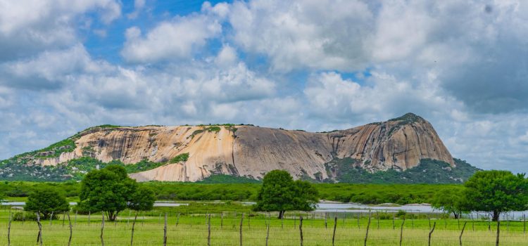 WhatsApp Image 2025-09-19 at 10.13.14